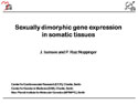 “Sexually dimorphic gene expression in somatic tissues”